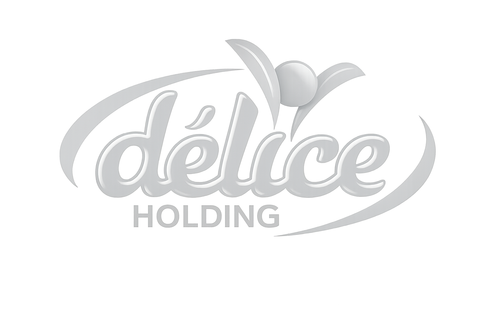 DELICE HOLDING